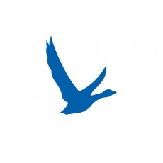 Grey Goose logó